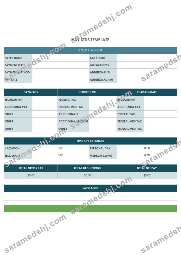 company Pay StubTemplate, version 2
